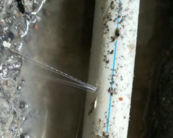 岱山卫生间测漏水多少钱