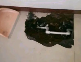 岱山卫生间测漏水多少钱